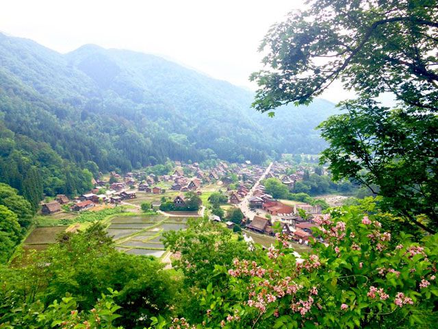 2.岐阜バス 白川郷線