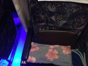 3.プルメリア、車内の様子