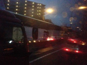 4.プルメリア、走行中