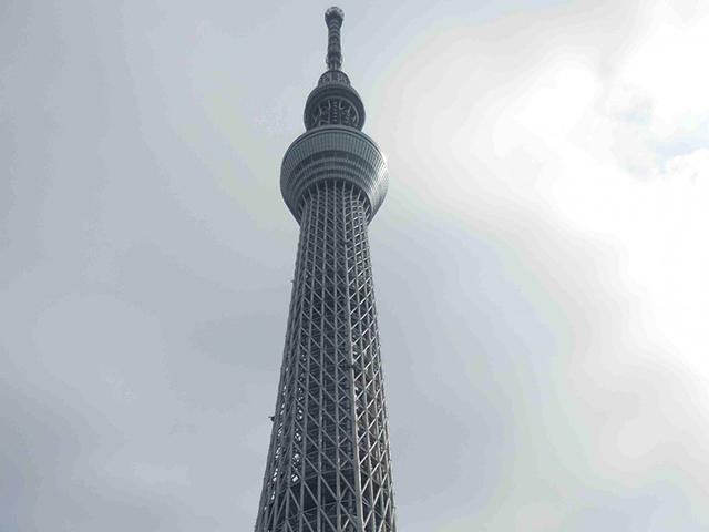 2.ピンクのバスで大阪⇒東京へ(東京観光編)