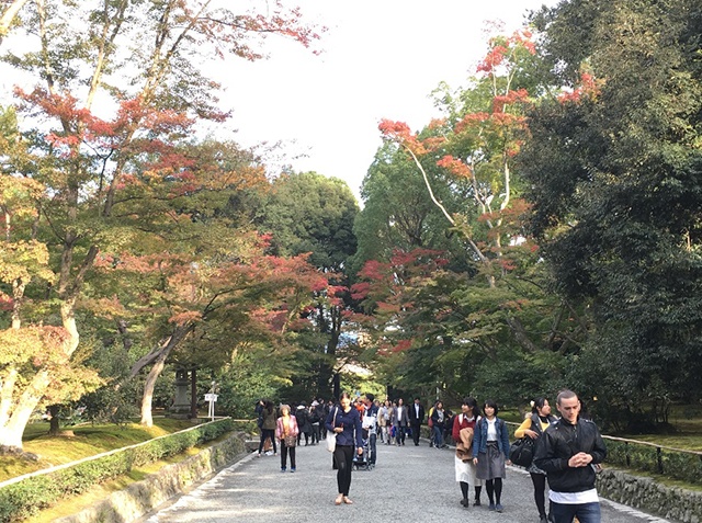 6.金閣寺
