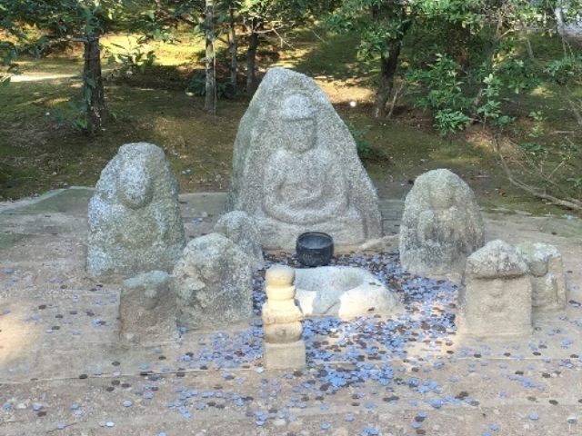 大阪発京都まるごと一日バスツアーに参加してきた!