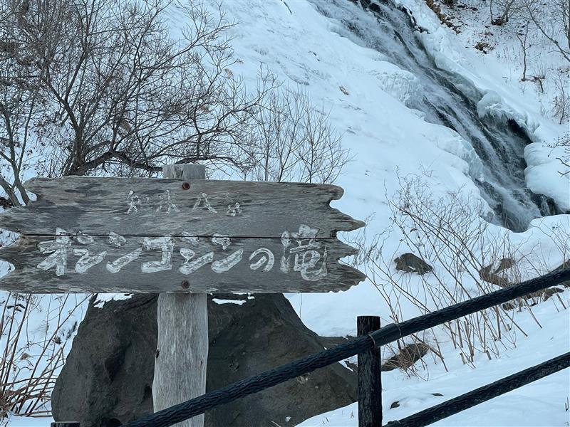 冬の『ひがし北海道エクスプレスバス8号』に乗ってみました!